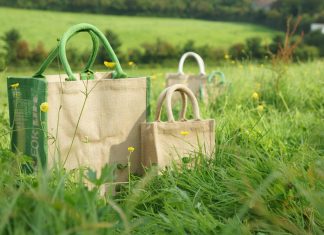 Why It’s Important to Purchase Eco-Friendly Products Purchase Eco-Friendly Products