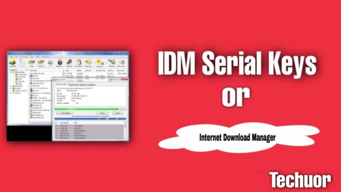 IDM Download With Key