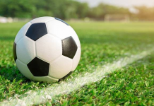 The best portal to review livescore football portal to review livescore football