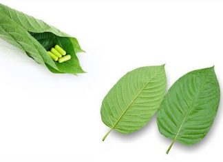 Best Kratom Affiliate Marketing Program Affiliate Marketing Program