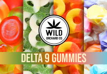 The best Delta 9 gummies for sale in 2022 Delta 9 gummies