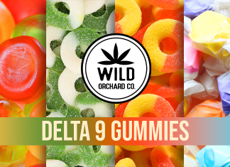 The best Delta 9 gummies for sale in 2022 Delta 9 gummies