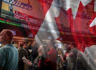 What to Look for When Choosing an Online Bookmaker in Canada? an Online Bookmaker