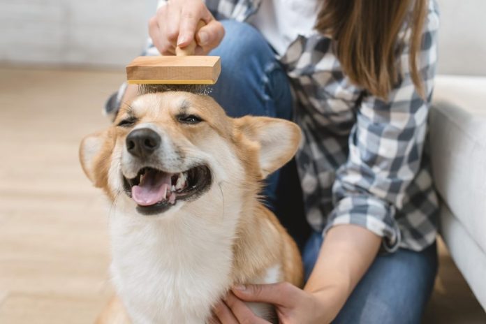 Keep Your Pet Clean