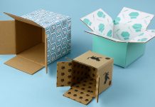 Should Your Ecommerce and Direct-to-Consumer Company Use Custom Boxes? Custom Boxes