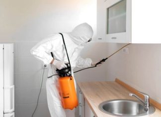 Complete Guide About Pest Control Methods Pest Control