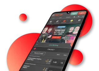Pin-up app download apk