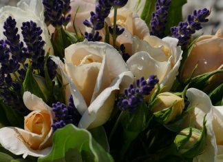 Top Online Lavender Flowers Arrangements Flowers