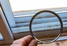 Is It Possible To Get Rid Of Mold With Vinegar? Mold