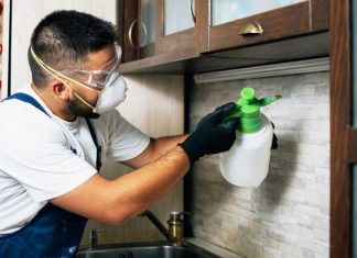 The Different Methods of Pest Control Pest Control