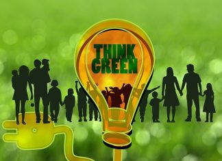Importance Of Environmental Management Systems In Business Environmental Management Systems