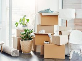 Enjoy your relocation after hiring the service of best international movers