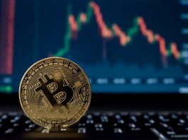 Acknowledging The Growth of Bitcoin from Last 12 Years’ Work