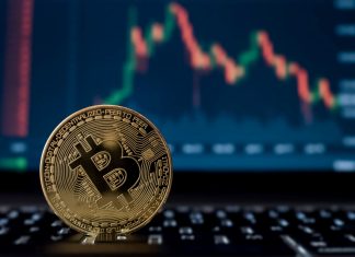 Acknowledging The Growth of Bitcoin from Last 12 Years’ Work