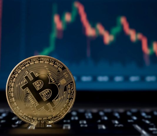 Acknowledging The Growth of Bitcoin from Last 12 Years’ Work