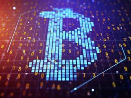 Ways Bitcoin Leading Support in The Educational Growth