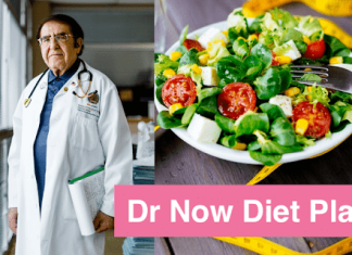 What is Dr. Nowzaradan’s Diet Plan Diet