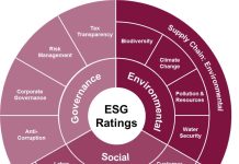 All About ESG Scores: How They Are Calculated and Used