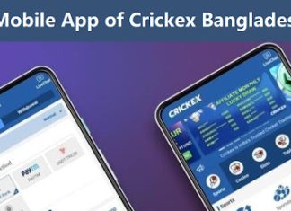 Mobile App of Crickex Bangladesh casino