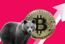 When trading bitcoin, bear these things in mind!