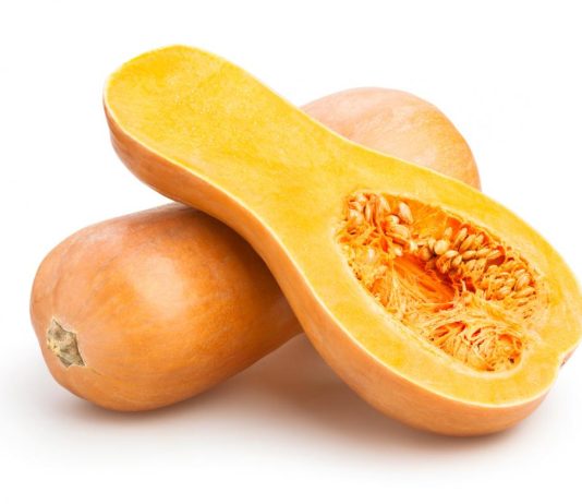 What is Squash? | Top Benefits of Squash