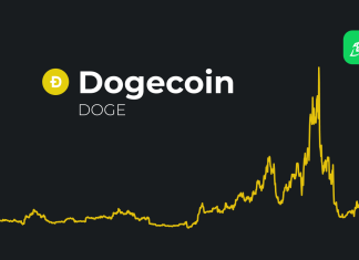 Dogecoin Future Predictions For 2023 Dogecoin Future Predictions