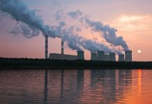 How SMEs can decarbonize their business