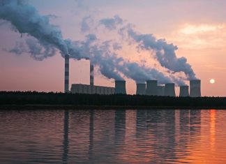 How SMEs can decarbonize their business