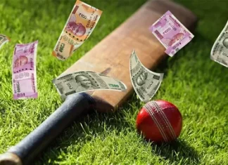 Legal Cricket Betting Apps in India 2022 l Cricket Betting