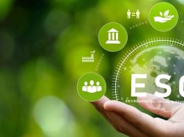 Understanding ESG Categorizations: What is ESG-Impact