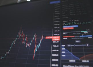 Interesting Findings About Gambling with Bitcoin | Tim Harrison x Latestphonezone