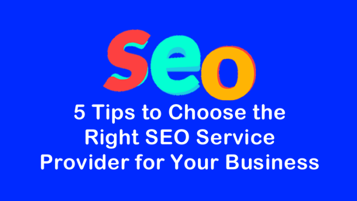 SEO Service Provider