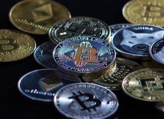 Which Developed Nation Can Adopt Bitcoin? Honest Review
