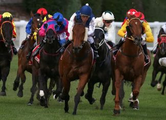 All you need to know about horse racing in South Africa Africa