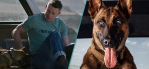 Where Can I Watch Dog