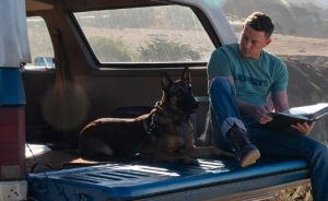 Where Can I Watch Dog