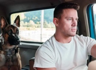 Where Can I Watch Dog? The Best Platforms for Dog Lovers Where Can I Watch Dog