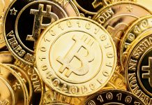 What Is a Bitcoin ETF? Everything You Want to Know