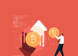 Case Studies: Successful Airdrops in the Cryptocurrency Market