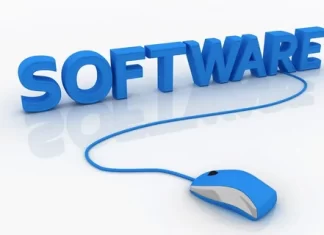 What are software testing services and where to order them