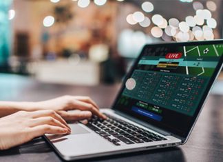 Analyzing the NHL: Online Betting Sports Fans Online Betting Sports