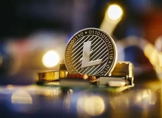 The Future of Litecoin: Expert Insights and Forecasts
