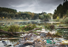 How Education Can Solve the Global Water Contamination Crisis