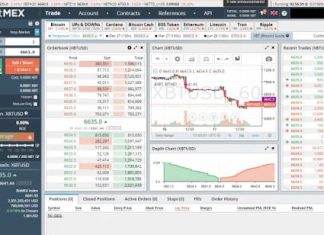 The Benefits of Using a Bitmex Trading Bot The Benefits of Using a Bitmex Trading Bot