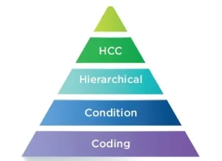 Why Hierarchical Condition Category (HCC) Coding Is Crucial for Healthcare Providers?