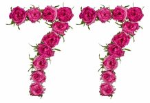 77 Angel Number – Unlocking the Mysteries 77 Angel Number