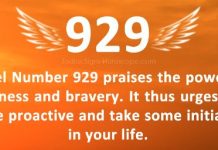 929 Angel Number – Unleashing the Power Within 929 Angel Number