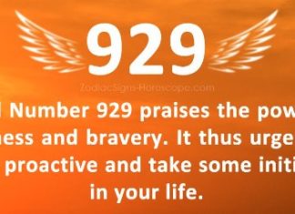 929 Angel Number – Unleashing the Power Within 929 Angel Number
