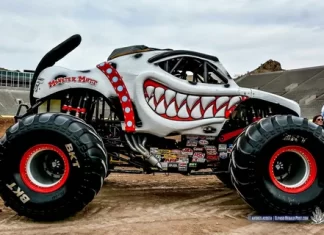 Personalization Overdrive: Customization Trends for Monster Trucks