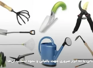 Power Garden Tools Guide: Choosing, Maintaining, and Mastering Your Yard
